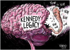 THE KENNEDY LEGACY by Dave Whamond