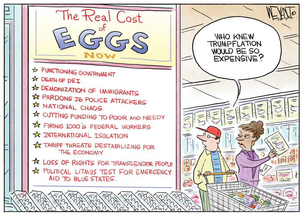 Trumpflation Hits Grocery Aisles as Egg Prices Reflect Policy Shifts