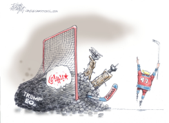 TRUMP BARRAGE OF EXECUTIVE ORDERS by Dick Wright