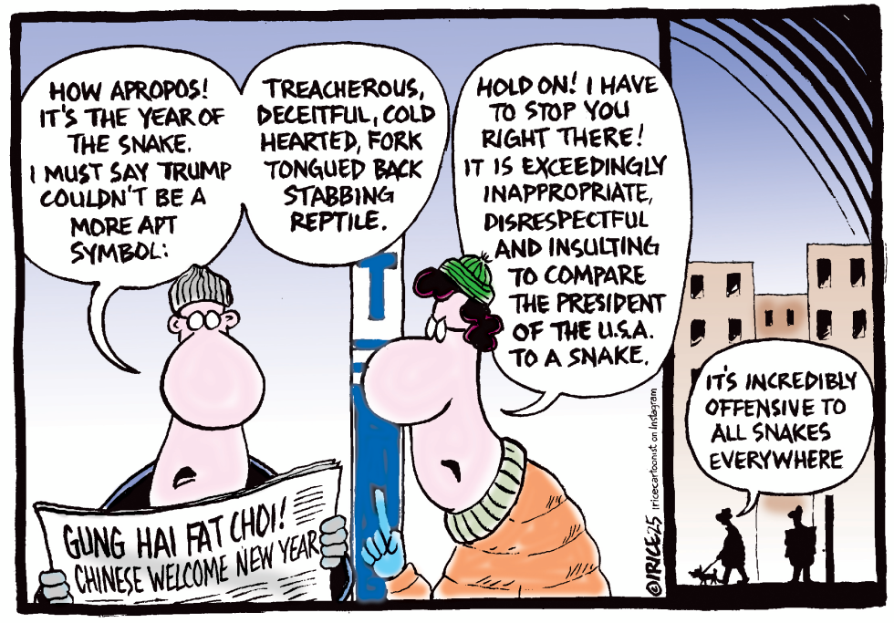 The Year of the Snake