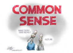 DEMOCRATS LACK COMMON SENSE by Dick Wright