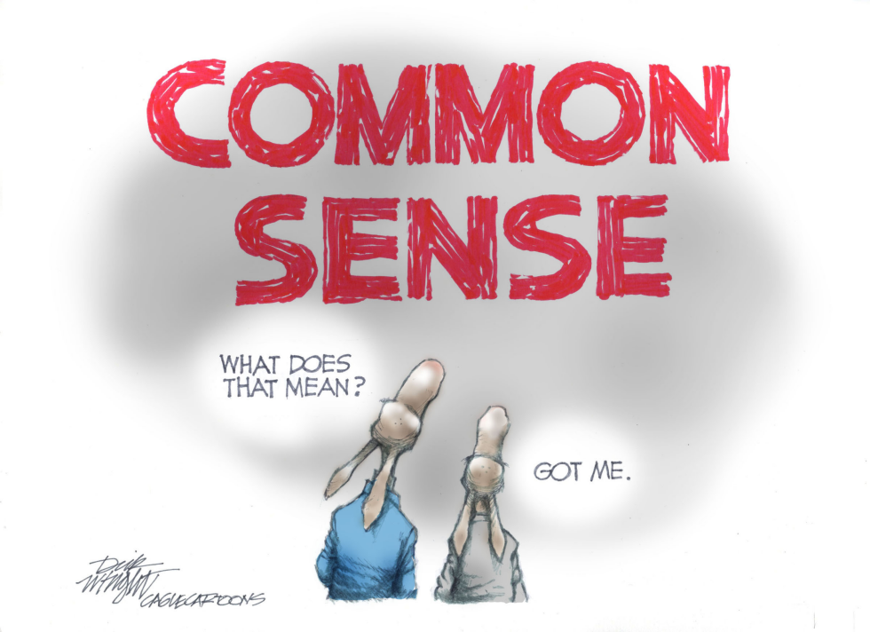 Democrats Lack Common Sense