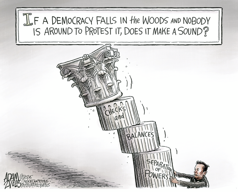 Musk Toppling Democracy