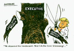 TRUMP PRESIDENTIAL POWER by Jimmy Margulies
