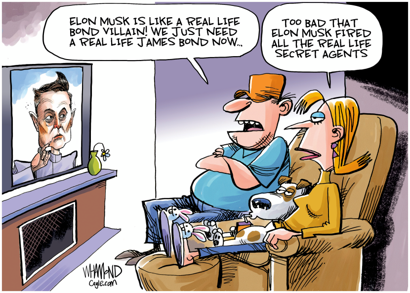 Elon Musk cuts