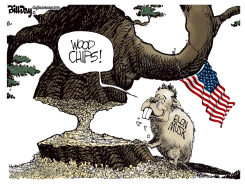 AMERICA WOOD CHIPS by Bill Day
