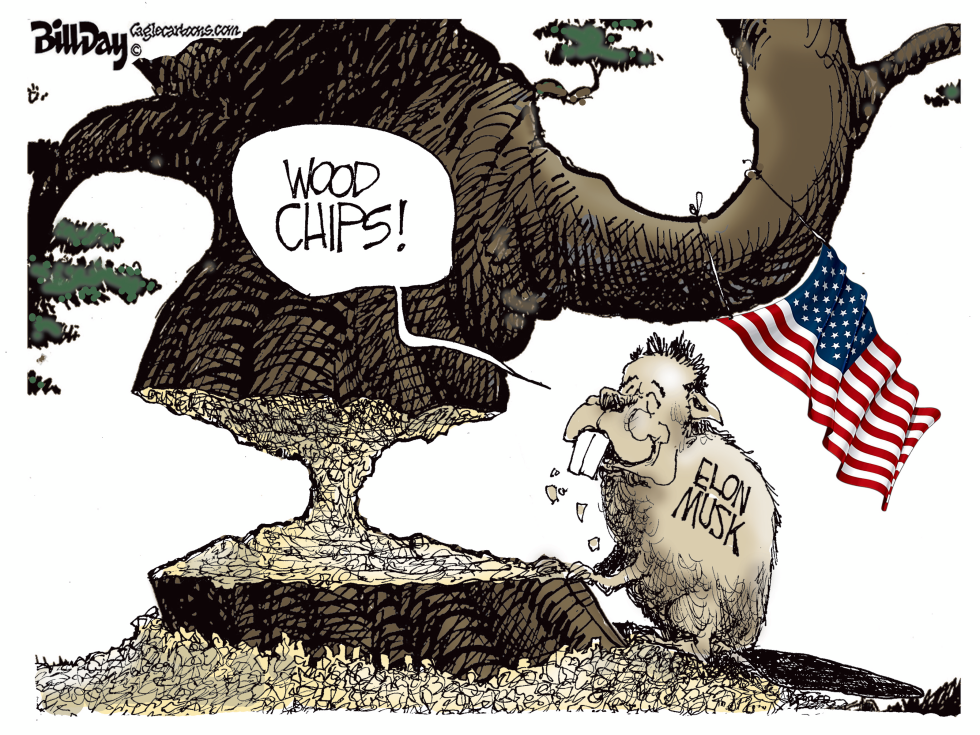 America Wood Chips