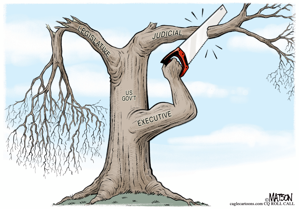 Executive arm saws judicial branch from US government tree