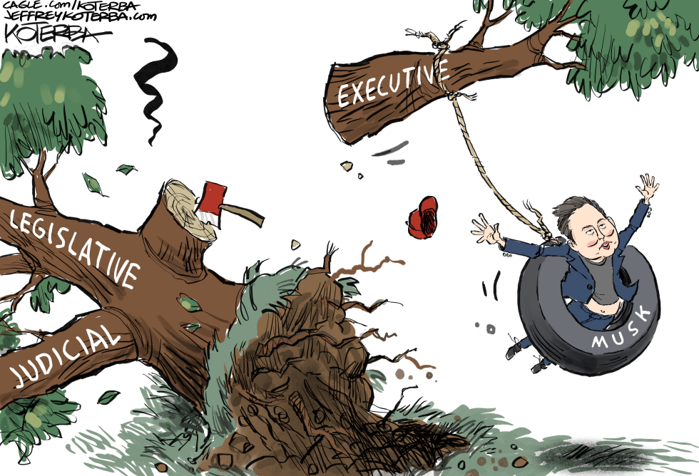 Musk and the Executive Branch