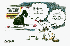 BEST IN SHOW AT WESTMINSTER DOG SHOW by Jimmy Margulies