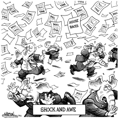 MIDTERM ELECTIONS SHOCK AND AWE by R.J. Matson