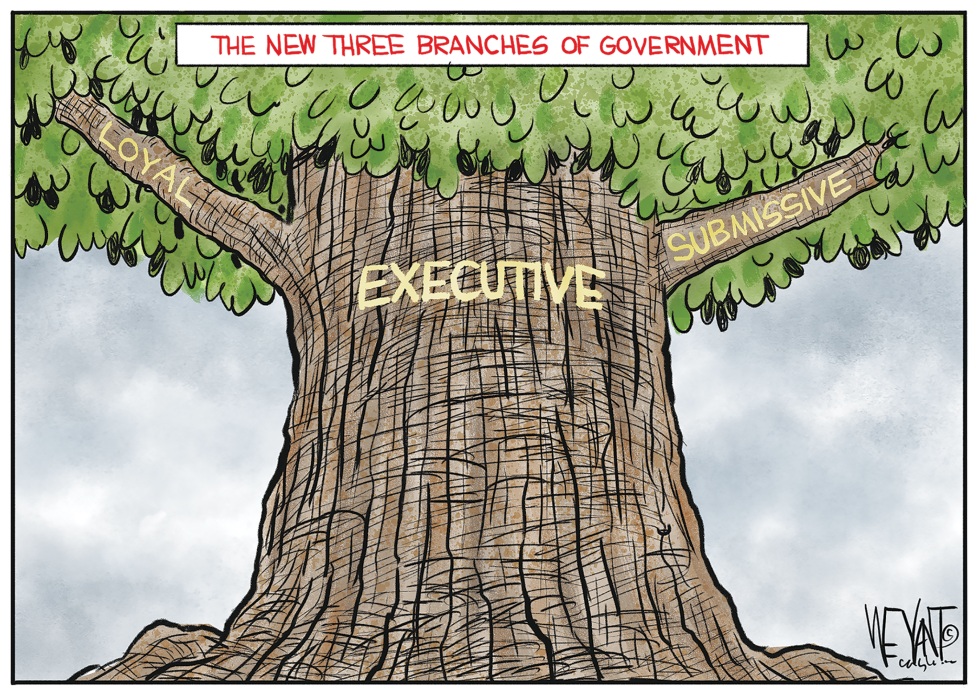 New Three Branches of Government