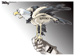 PLUCKED DEMOCRACY by Bill Day