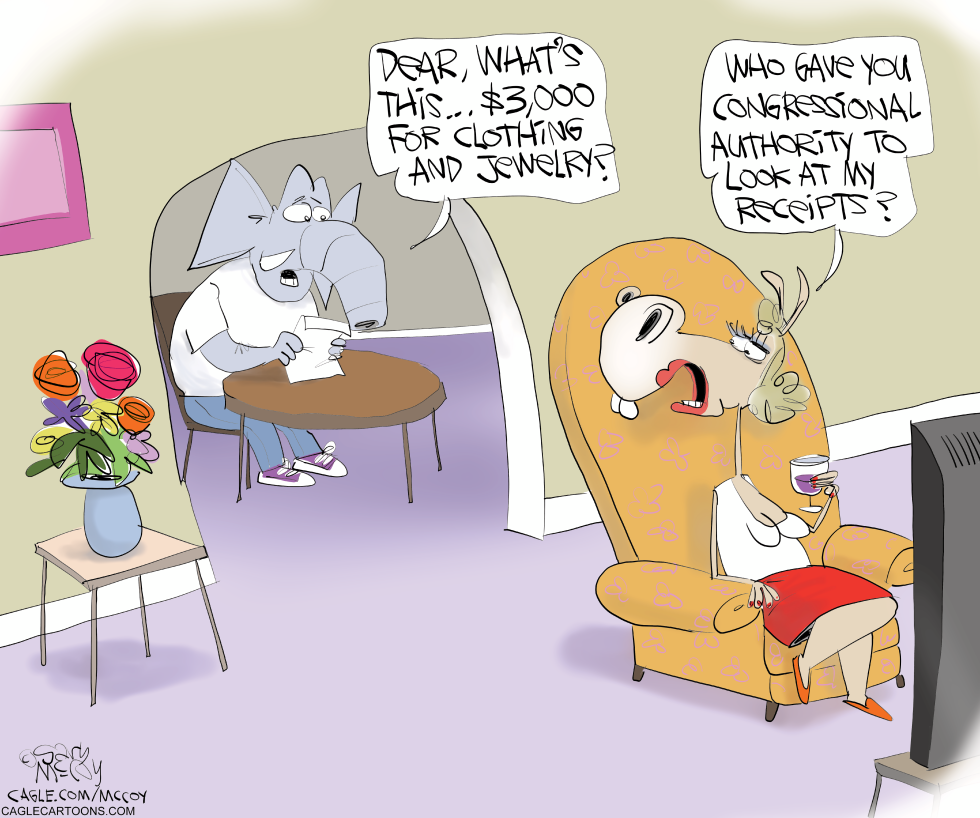#3 AUTHORITY OF DOGE TO AUDIT by Gary McCoy