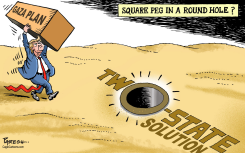 TRUMP GAZA PLAN SQUARE PEG by Paresh Nath
