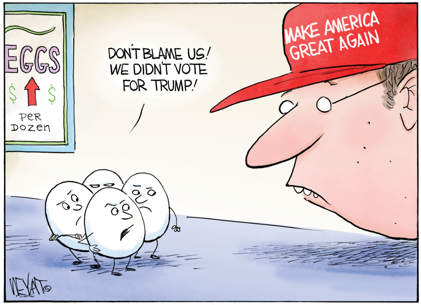 Eggs Cite Non Support for Trump Amid Rising Prices