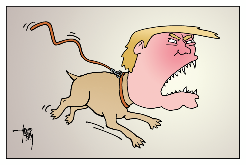 rabid Trump