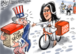 TULSI GABBARD by Pat Bagley