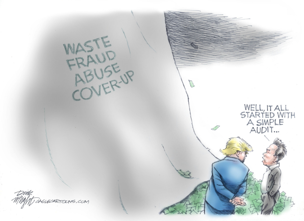 Doge Investigation Into Waste, Fraud and Abuse