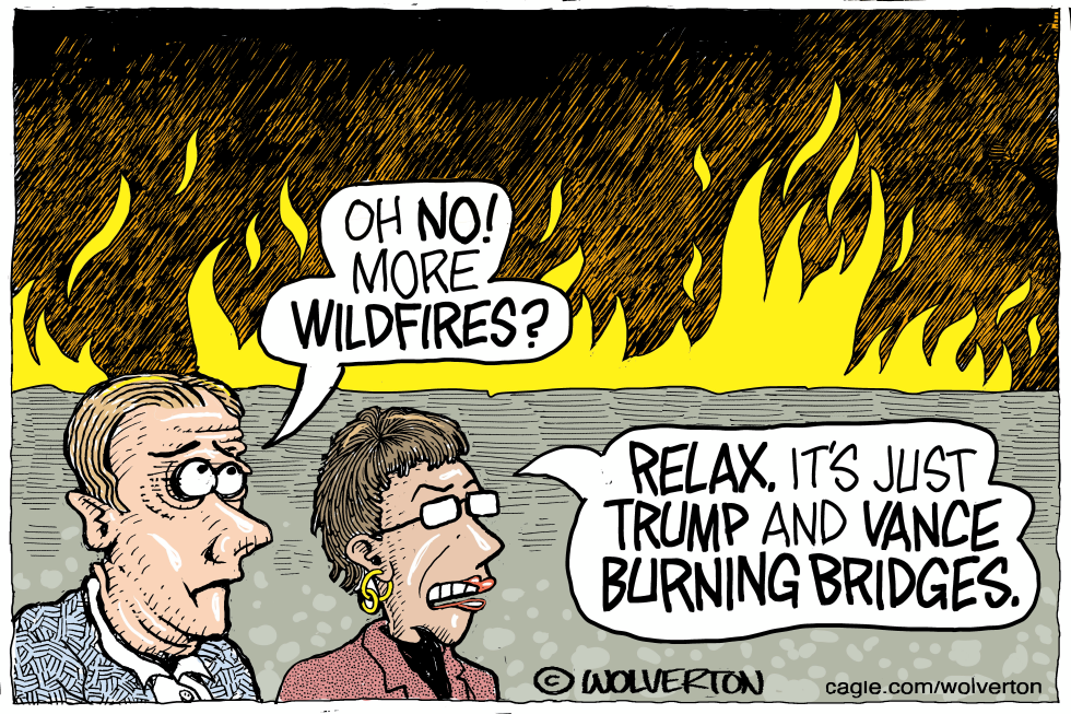 Trump and Vance Burning Bridges