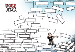 DOGE JENGA by Joe Heller