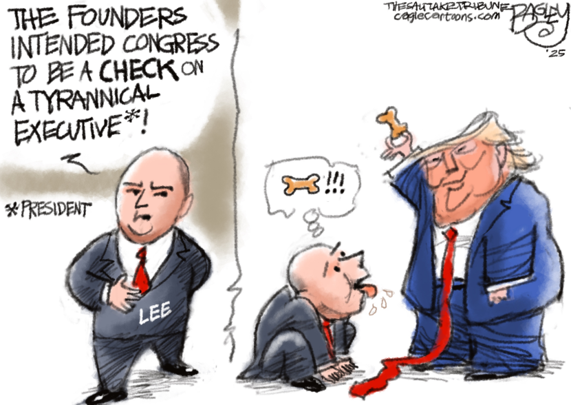 Obedient Mike Lee