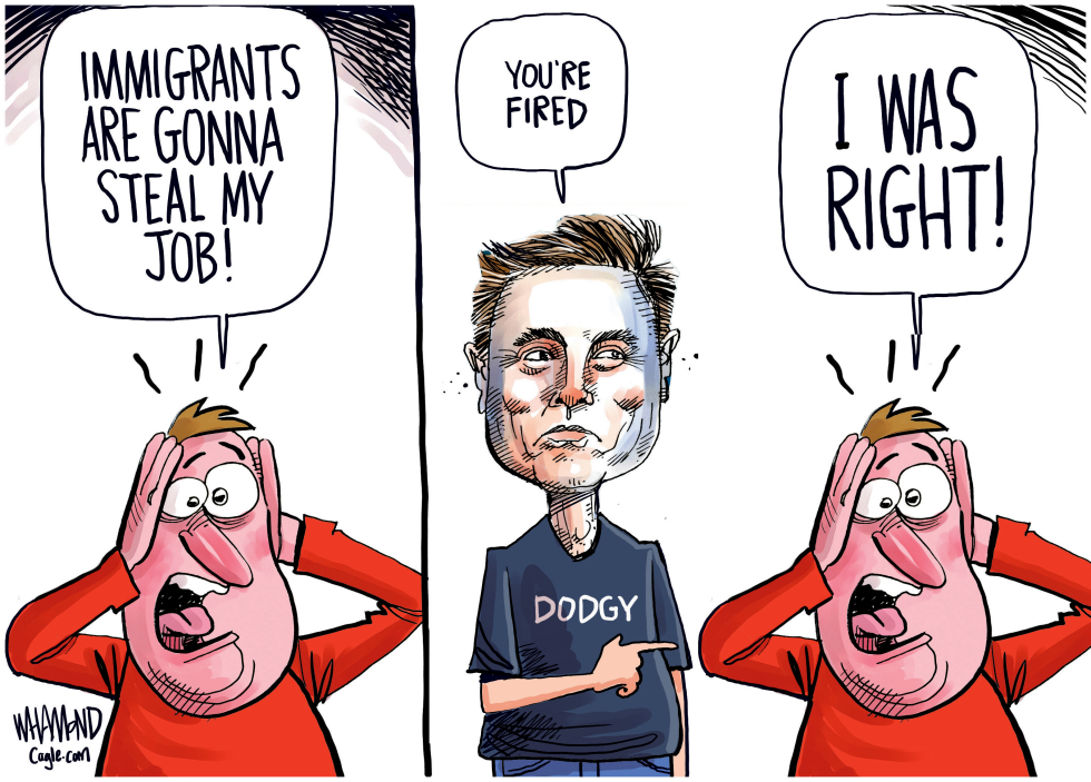 #3 DOGE JOB PURGE by Dave Whamond