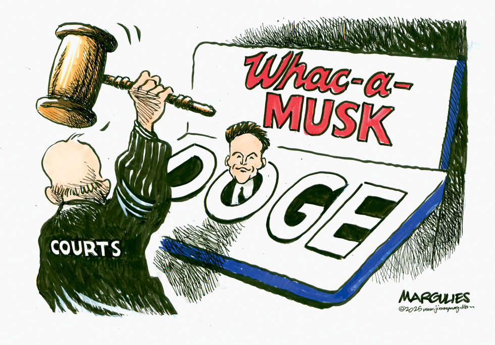 Courts swing gavel at Elon Musk DOGE operations