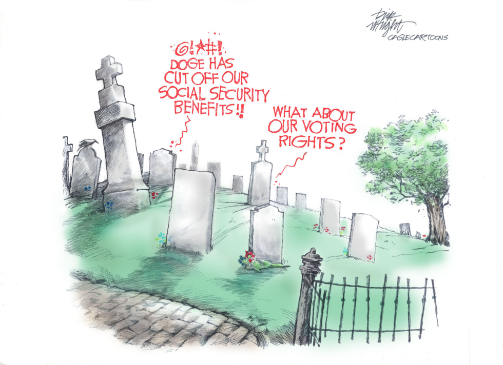 DOGE Efficiency Drive Draws Graveyard Complaints Over Benefits and Rights