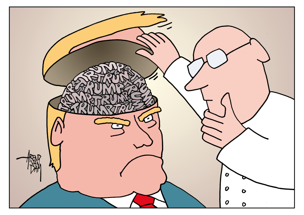 diagnosis Trumpomania