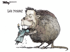 ELON MUSKRAT by Bill Day