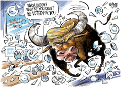 TRUMP A BULL IN A CHINA SHOP by Dave Whamond