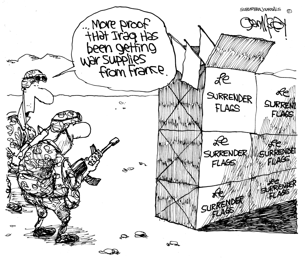 France helps Iraq