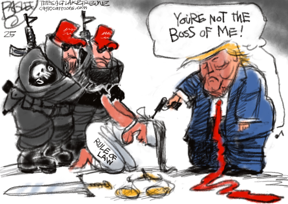 Rule of Law
