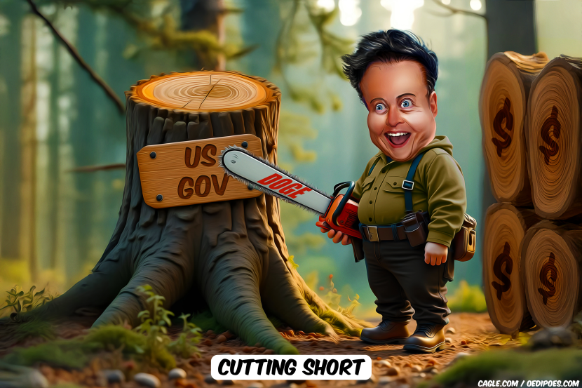 Elon Musk as ranger cuts US government stump with DOGE chainsaw