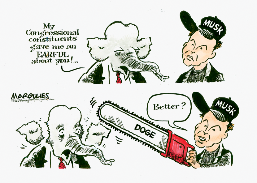 Republican Congress and Elon Musk