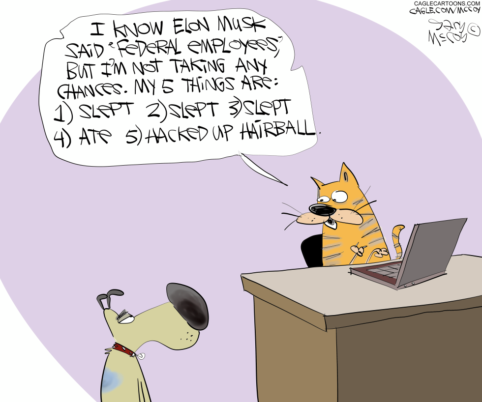 Cat Abiding By Elon's Accountability Rule