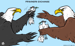 PIGEONS PEACE PRISONERS EXCHANGE HAWKS TRUCE GAZA by Emad Hajjaj
