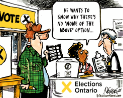 OPTIONS by Steve Nease