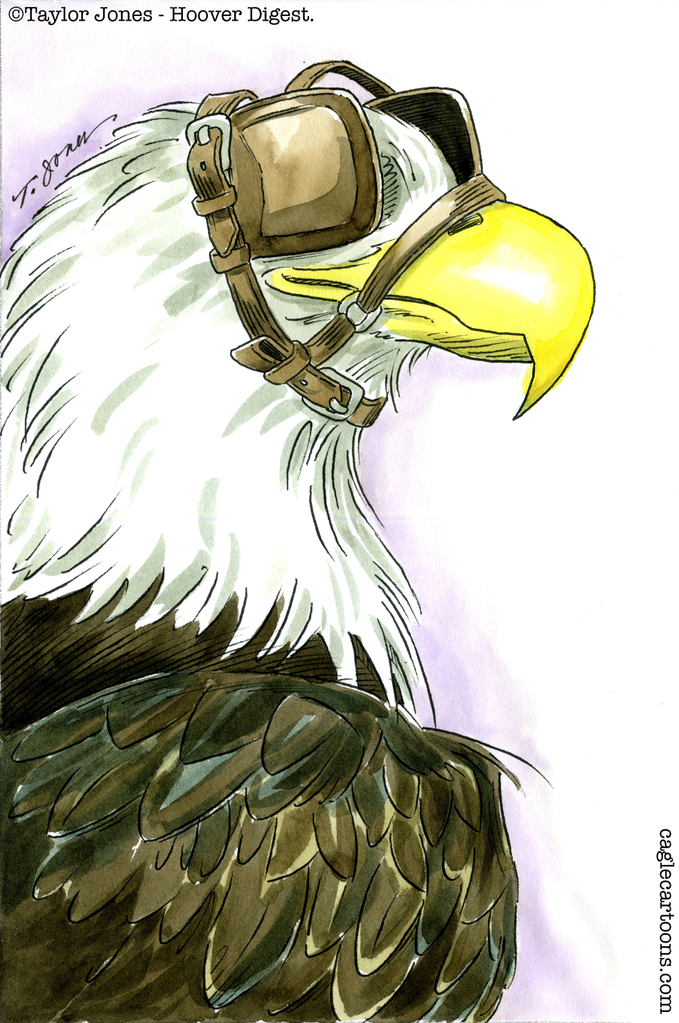 Bald eagle unreliable ally