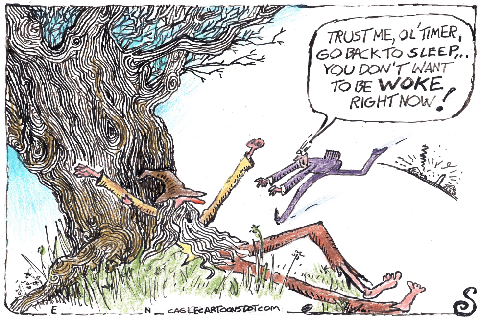 RIP VAN WINKLE` WAKES UP