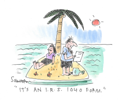 IRS FORM by Harley Schwadron