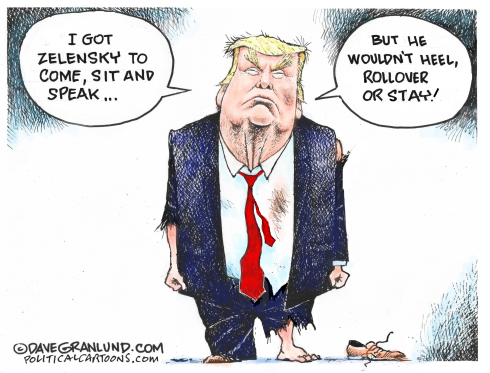 Trump and Zelensky meeting