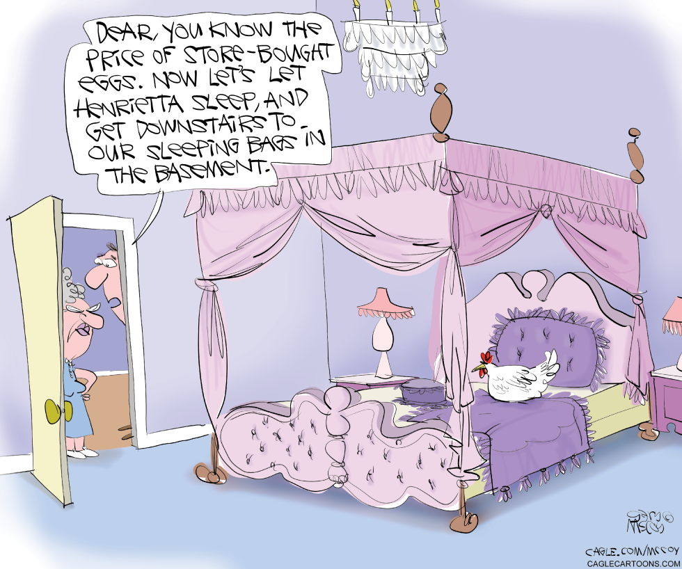 Bird Flu And High Egg Prices