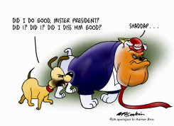 VANCE IS TRUMP'S LAP DOG by Malcolm McGookin