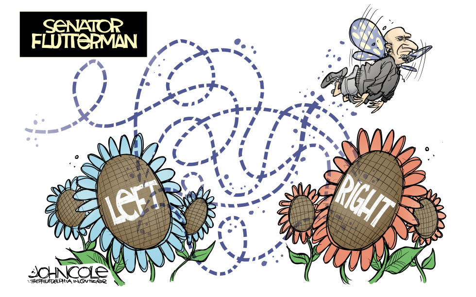 Fetterman flutters from flower to flower