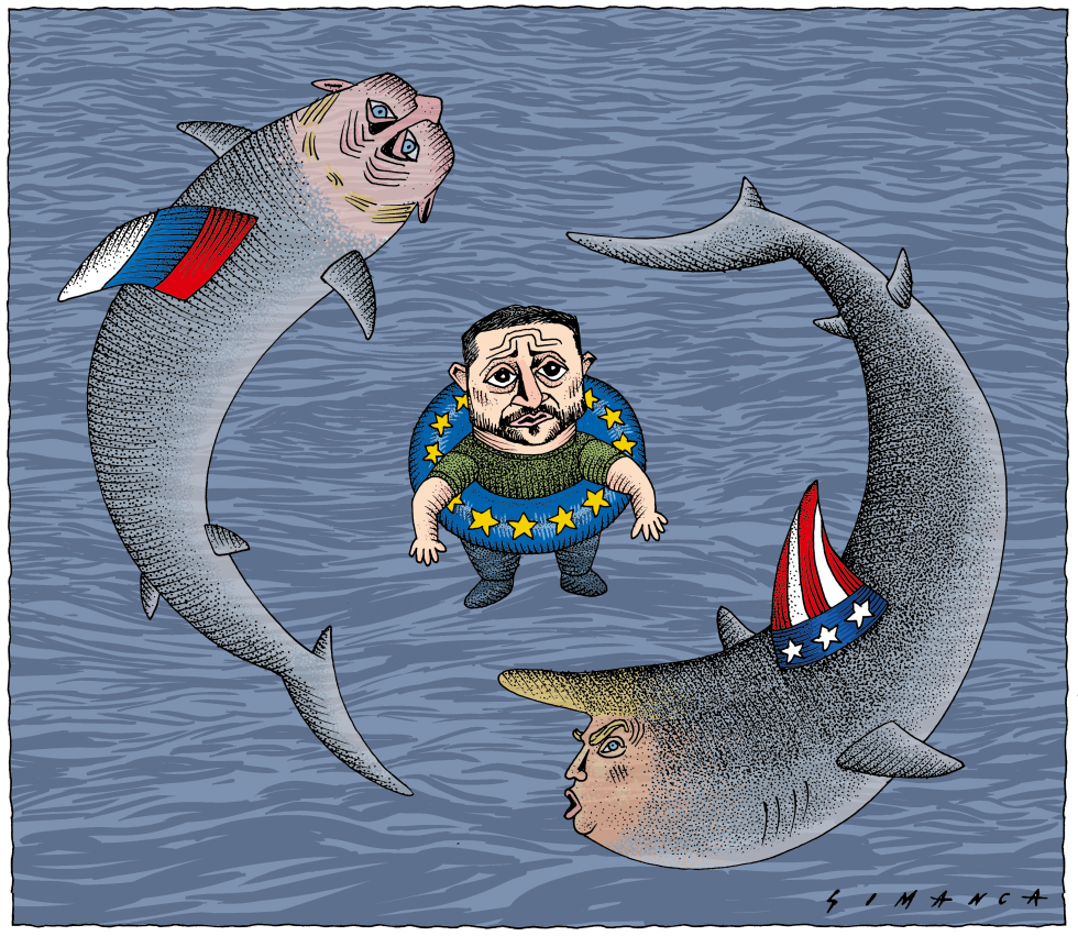 Zelensky and Two Sharks