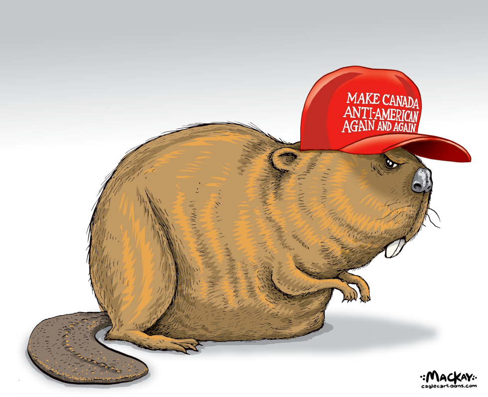 Trump's actions spark anti-US sentiment in Canada