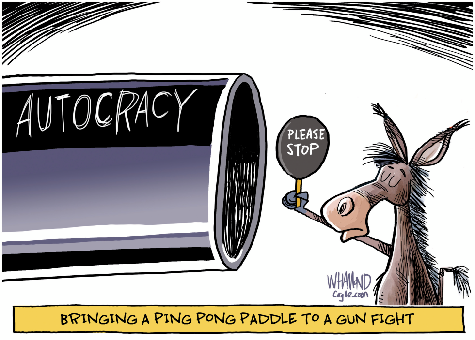#3 WEAK RESPONSE OF THE DEMOCRATS by Dave Whamond