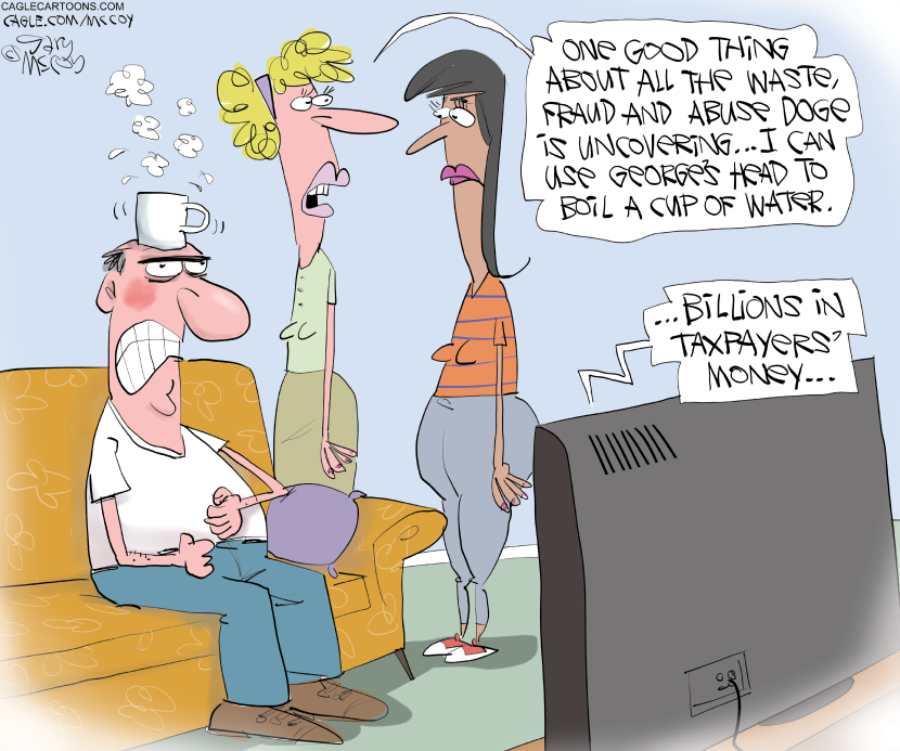 DOGE Waste Findings Fuel Taxpayer Fury in McCoy Cartoon